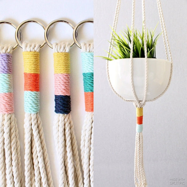 Colorful Plant Hangers